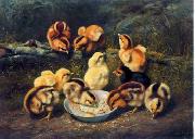 unknow artist chickens 197 USA oil painting artist